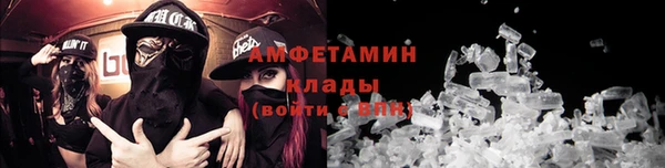 СК Алексин