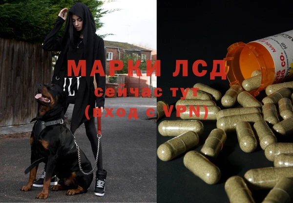 ECSTASY Абинск